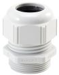 SKINTOP® STR PG 36 RAL 7035 LGY cable gland -  Primary Image
