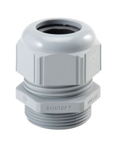 SKINTOP® STR-M 20X1.5 RAL 7001 SGY